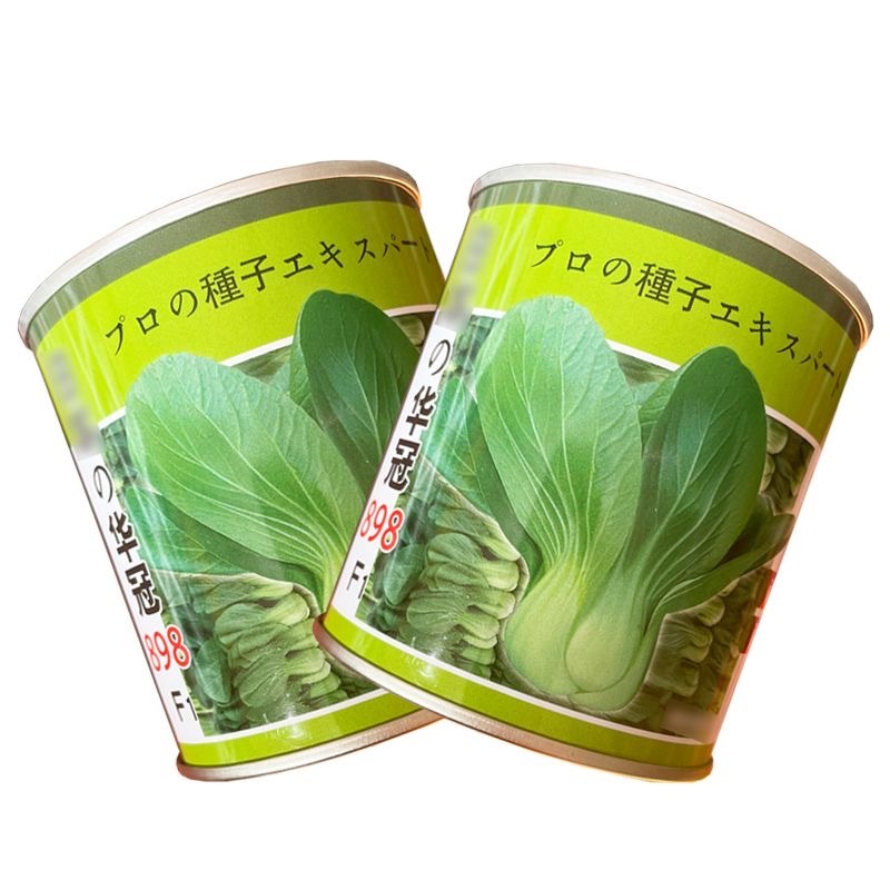 华冠898青梗菜种子耐抽薹矮脚束腰生长快35天上市