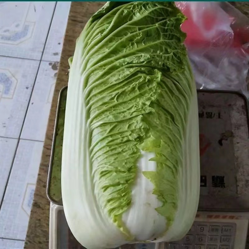 基地直发价格好品质高欢迎问价