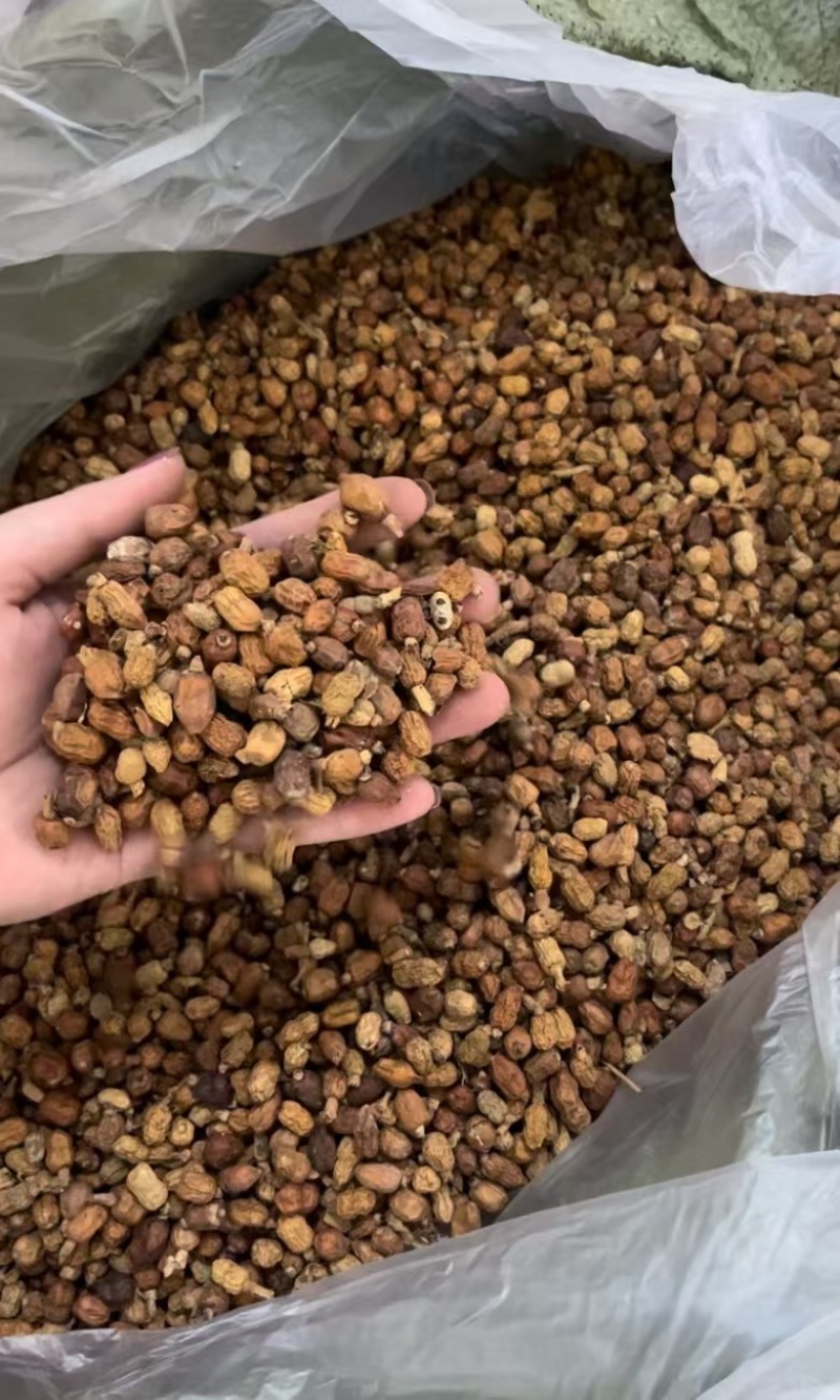 红豆蔻红蔻小红寇卤水料鸭脖子香料调料大全产地直发