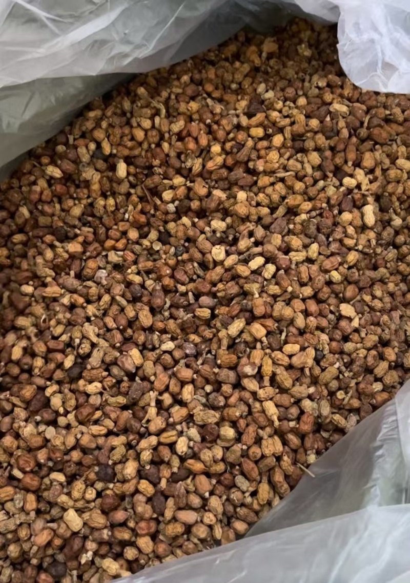 红豆蔻红蔻小红寇卤水料鸭脖子香料调料大全产地直发
