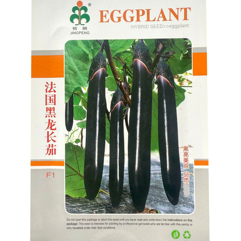法国黑龙长茄种子茄条黑亮果粗细均匀口感绵软