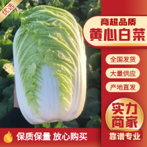 矮颗黄心大白菜，产地直发口感好色泽鲜艳质量