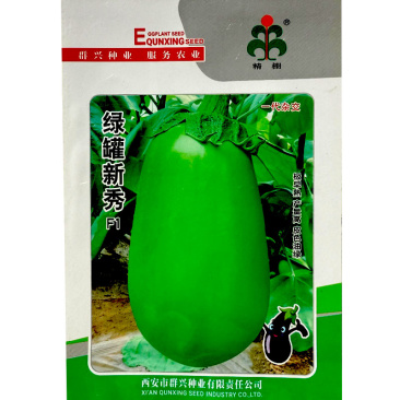 绿罐新秀绿罐茄种子青茄种子早熟皮色油绿