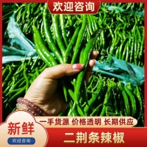 云南线椒二荆条大量上市，视频看货，对接商超市场电商社区团