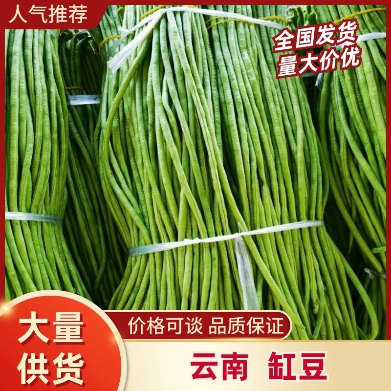 云南缸豆新鲜上市，视频看货，对接商超市场电商社区团购