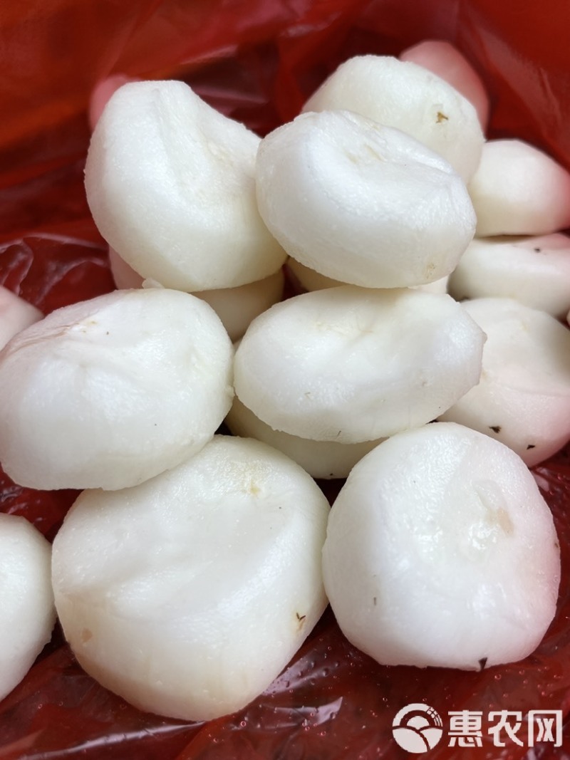 去皮马蹄不泡水现削马蹄清脆甜口真空包装现挖现发