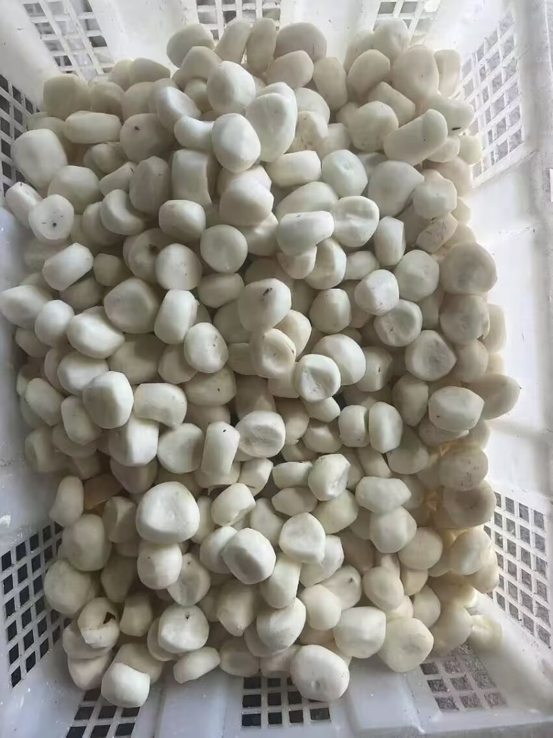 去皮马蹄不泡水现削马蹄清脆甜口真空包装现挖现发