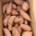【龙薯9号】大量有货供货稳定诚信经营保障品质