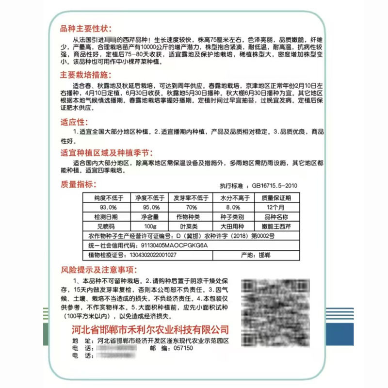 嫩脆王西芹种子嫩脆耐高温耐低温生长快80天上市