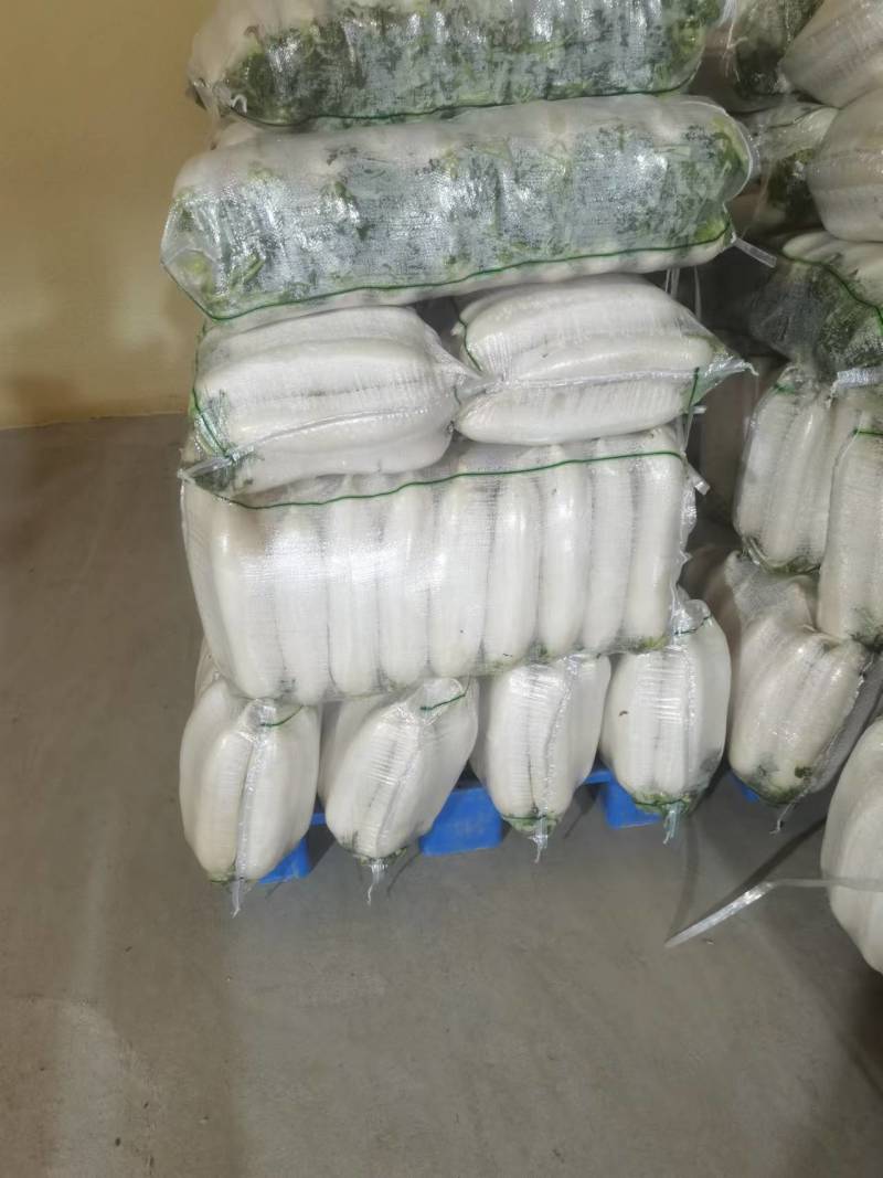 【白萝卜】湖北白萝卜无糠心畸形擦伤断头黑癍卖相好网袋净菜