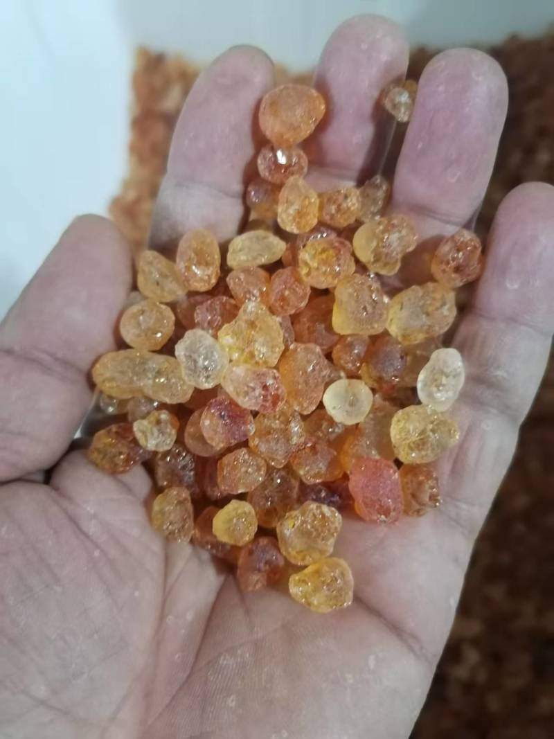 桃胶上市品质保证价格优惠支持视频看货欢迎来电洽谈