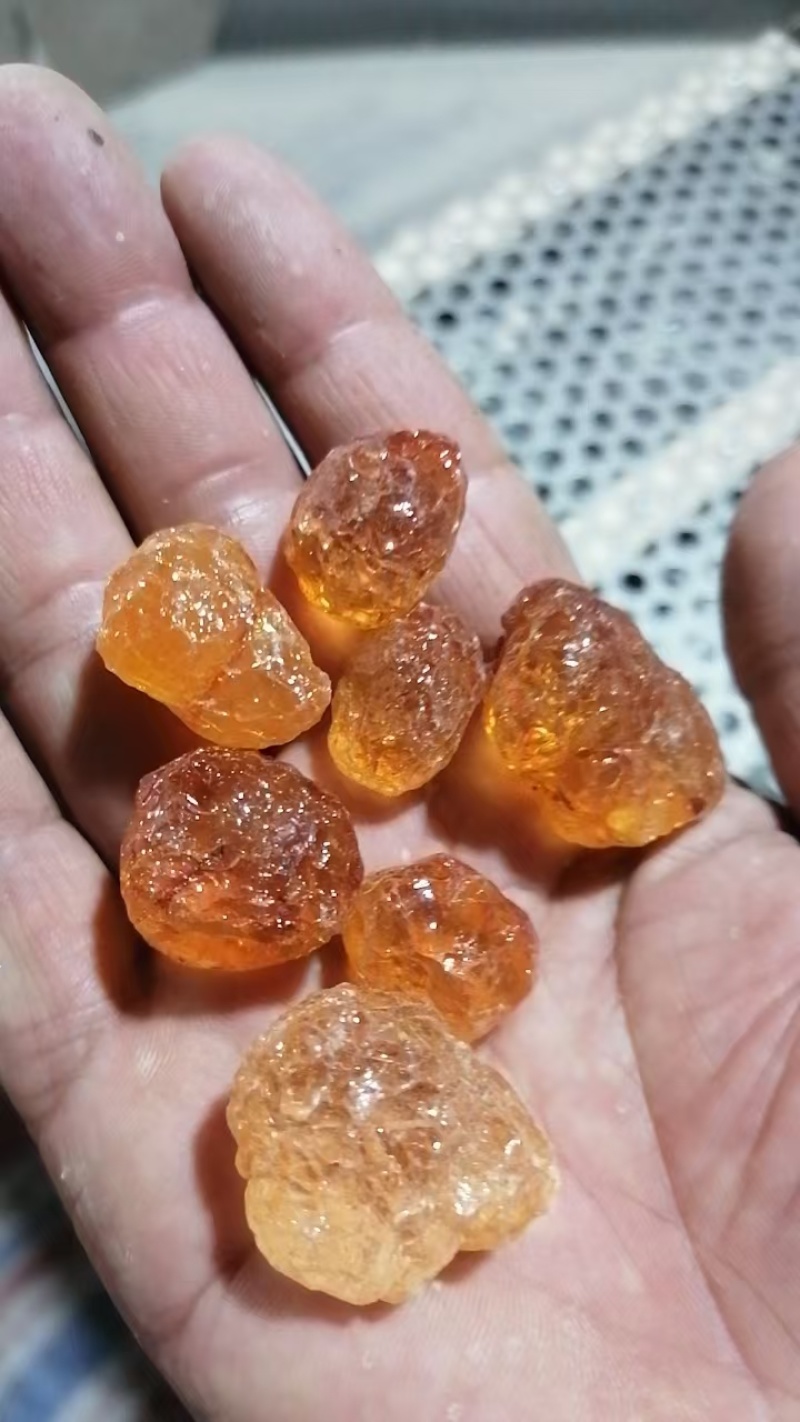 桃胶上市品质保证价格优惠支持视频看货欢迎来电洽谈