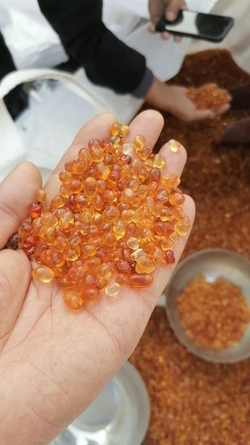 桃胶上市品质保证价格优惠支持视频看货欢迎来电洽谈