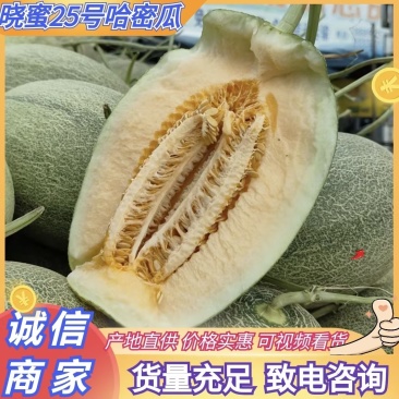 哈密瓜晓蜜25哈密瓜大量供应一手货源品质保证量大优惠