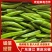 【推荐】黄皮尖椒、大量供应，品质保证，欢迎来电