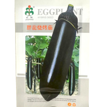 胖龙烧烤茄种子茄条黑亮果形粗细均匀口感绵软抗病