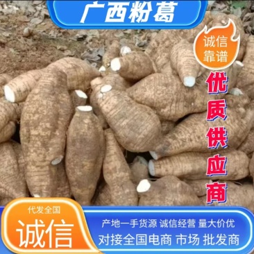 粉葛产地一手货源，规格齐全，可视频看货代发全国