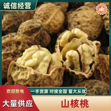 贵州核桃，深山核桃老树核桃保质保量无漂白，无水洗原色。