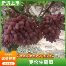 陕西渭南大荔县防雨棚克伦生大量供应，颗粒大，硬度好