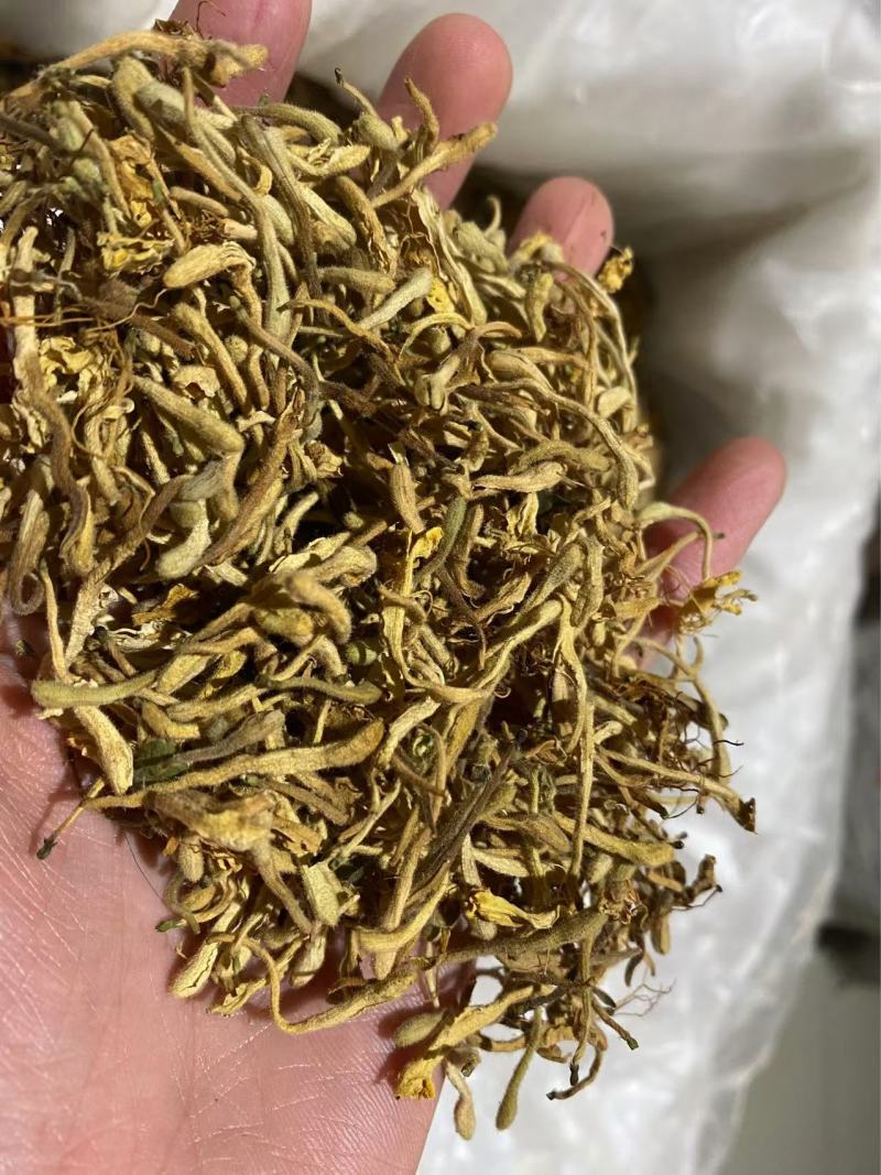 金银花产品实拍自然晾晒量大从优