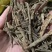 牡丹皮产品实拍质量保证
