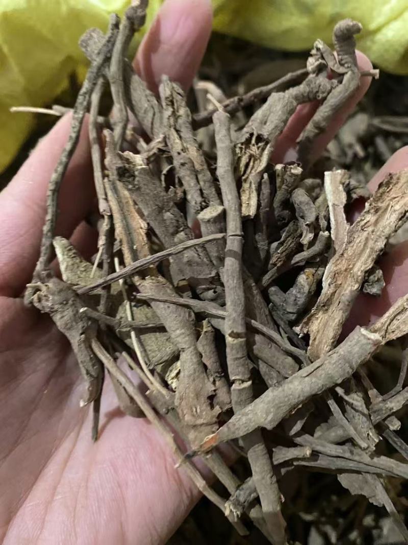 牡丹皮产品实拍质量保证