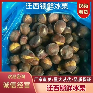 【迁西锁鲜冰栗】迁西3113品种特许大标批发一件代发