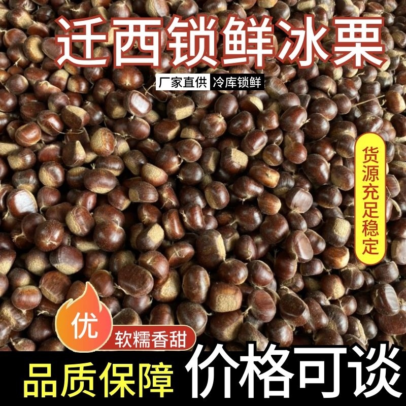 【迁西锁鲜冰栗】迁西3113品种特许大标批发一件代发