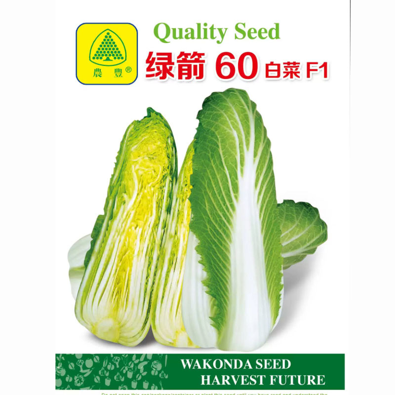 绿箭60改良绍菜种子早熟龙芽白菜包尖白菜种小包尖心叶黄蔬