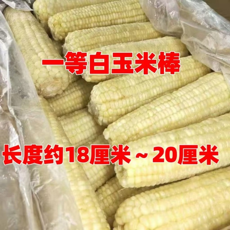 东北白糯玉米速冻装