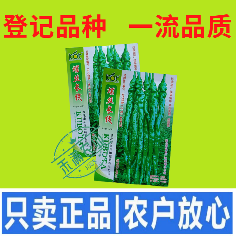久保田螺丝长线辣椒种子薄皮线椒高产抗病二荆条皱皮螺丝辣椒