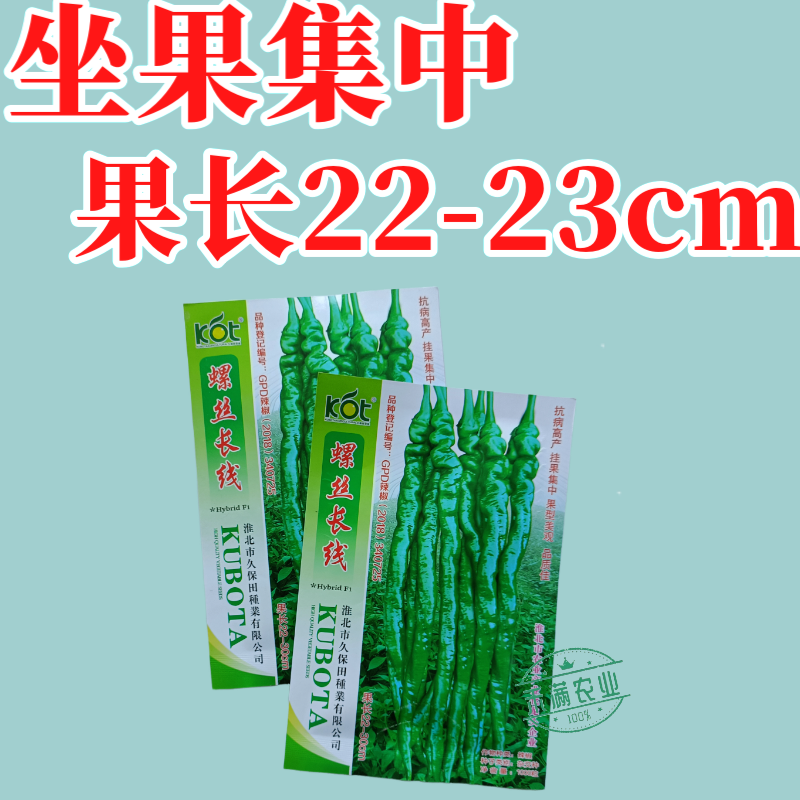 久保田螺丝长线辣椒种子薄皮线椒高产抗病二荆条皱皮螺丝辣椒