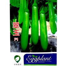 翠玉绿长茄种子顺直鲜绿肉质细嫩早熟耐寒耐热