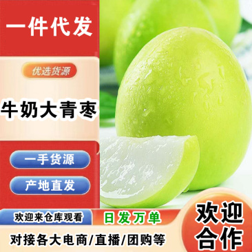 云南牛奶大青枣一件代发产地直发一手货源对接各大电商平台
