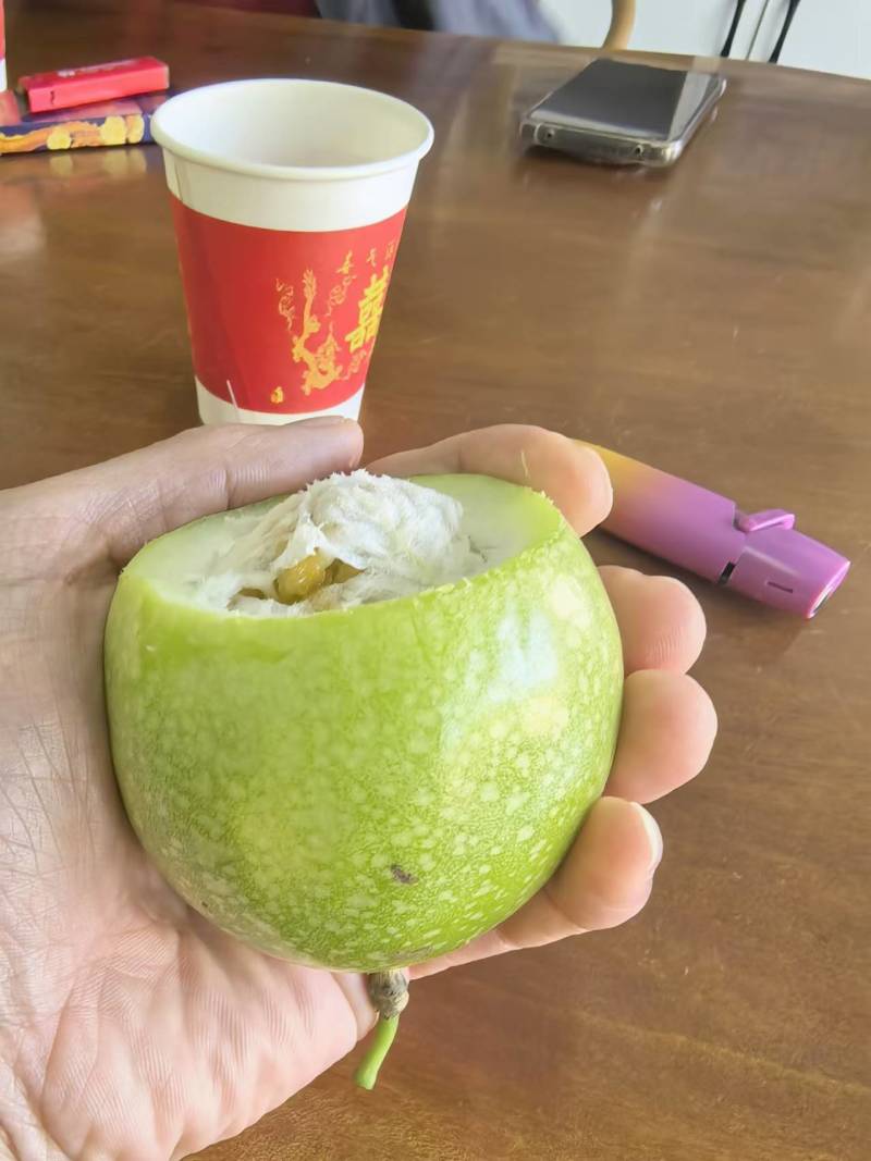 【实力推荐】桂林龙胜高山百香果产地直发品质保证可视频看货