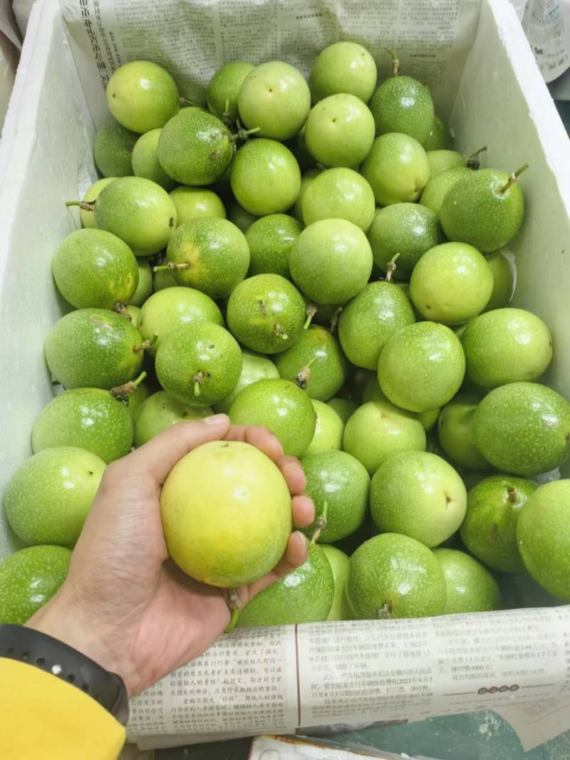 【实力推荐】桂林龙胜高山百香果产地直发品质保证可视频看货