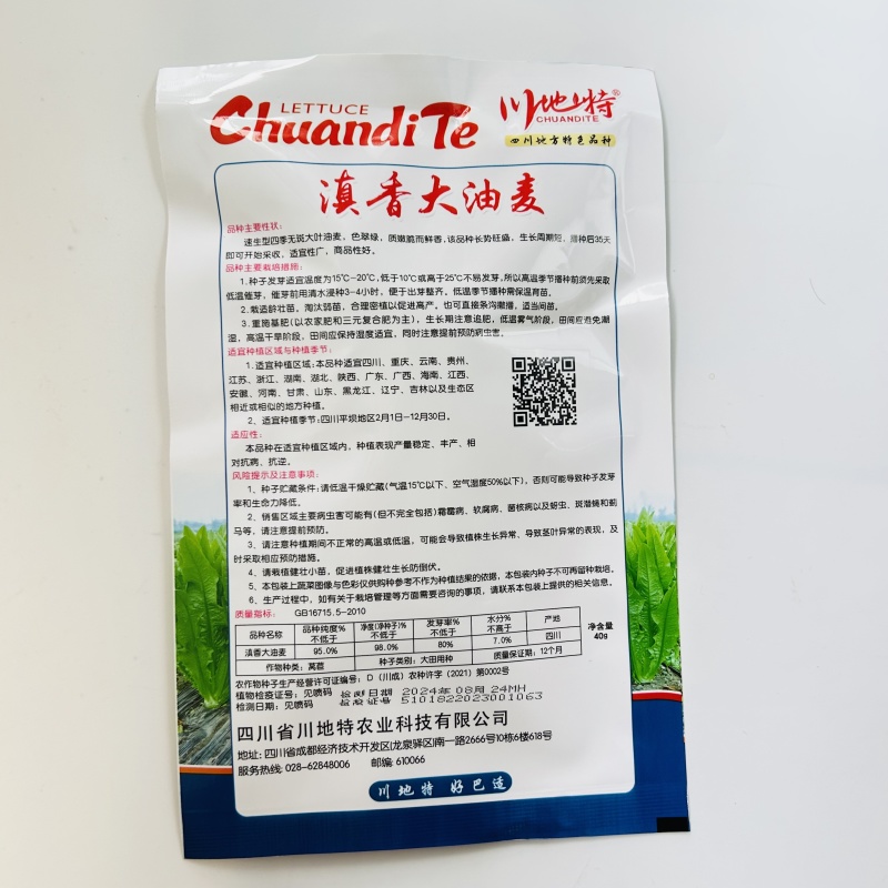大颗四季油麦菜种子大叶油麦菜种子耐寒耐热甜味油麦菜种子