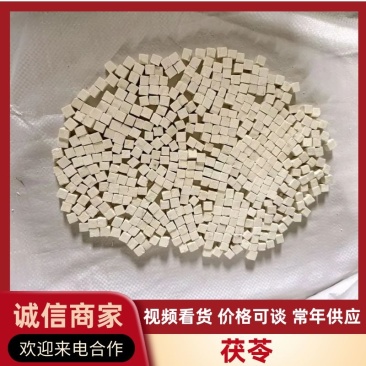 云南深山松树茯芩各种茯芩规格都有量大从优