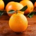 秭归脐橙一手货源产地直发对接全国各级市场商超货高次货源