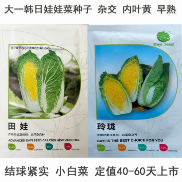 韩国田娃娃娃菜种子小白菜种籽黄心玲珑小娃娃菜种孑