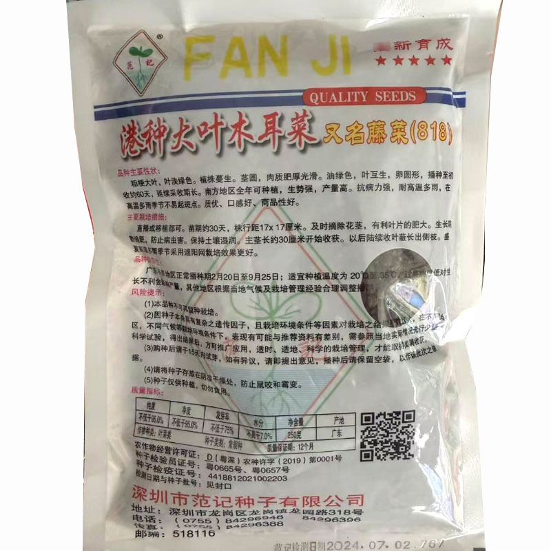 港种大叶木耳菜种子高产抗热耐雨生长快藤菜种子818