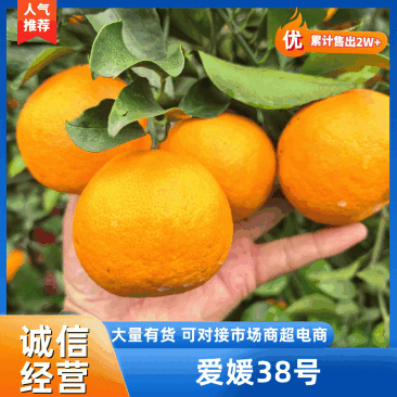 爱媛38号果冻橙新鲜上市，爆汁，量大从优。