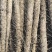 精品淮山药大量上市基地直发规格齐全品质保证欢迎订购