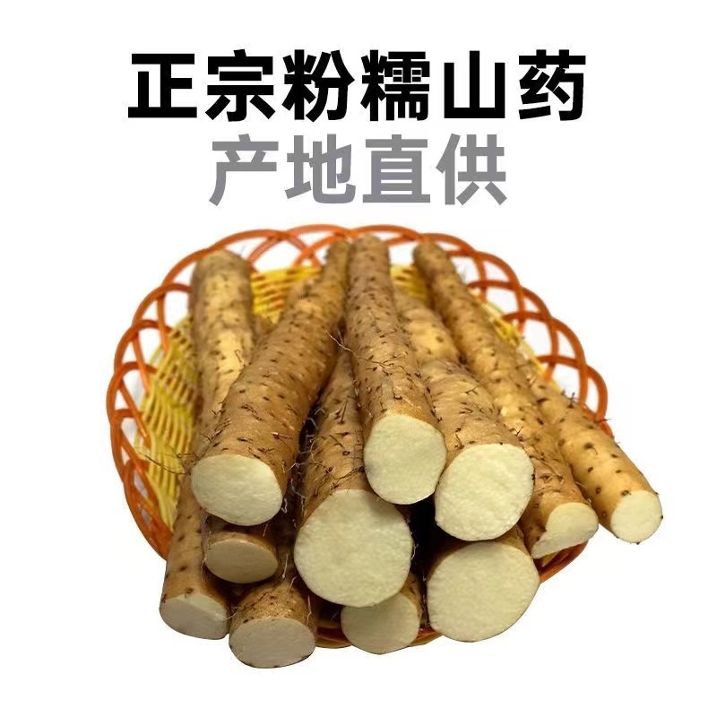 精品双棒山药基地直发无中间商赚差价支持电商视频看货