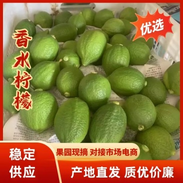 精品香水柠檬大量上市货源充足产地直发商超电商批发