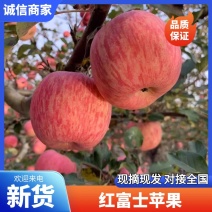 【山东苹果】红富士苹果/蒙阴苹果/产地货源/全国发货