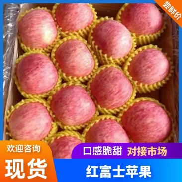 【山东苹果】精品红富士苹果/蒙阴苹果/产地货源/全国发货
