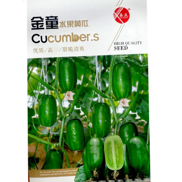 金童水果黄瓜种子甜脆清爽光滑无刺节间短