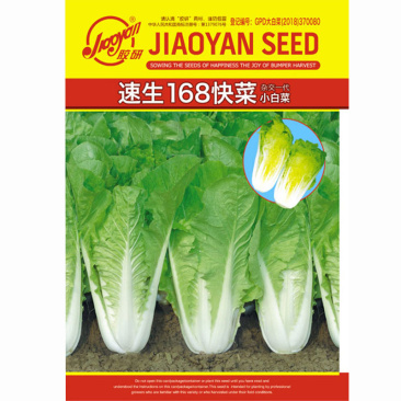 快菜种子速生168小白菜20天上市耐高温白帮