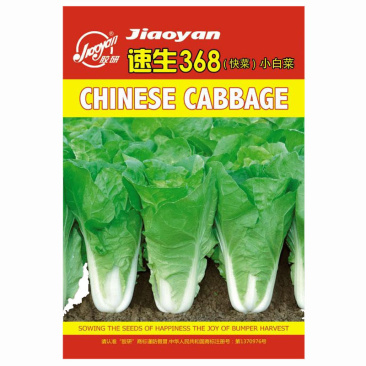快菜种子早熟耐热耐湿春秋四季小白菜368快菜种子